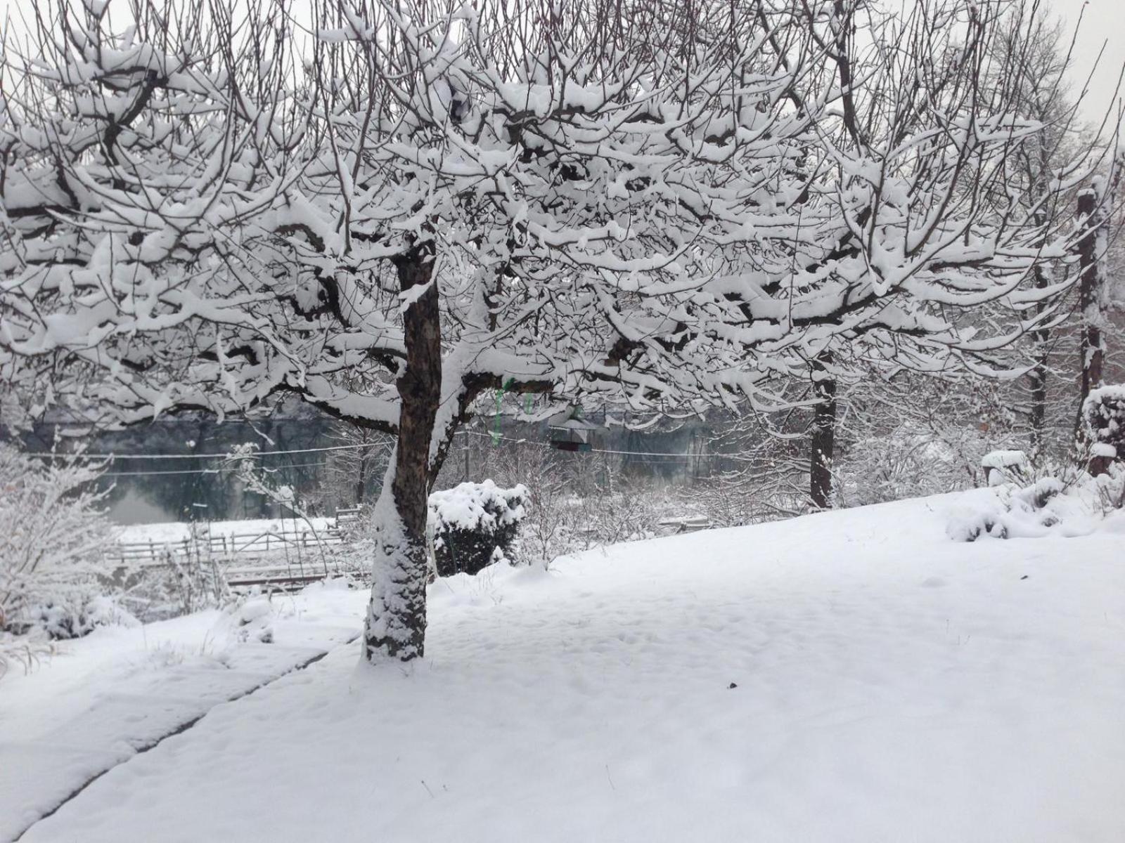 Kuca Suncani Brijeg Pokupsko Buitenkant foto