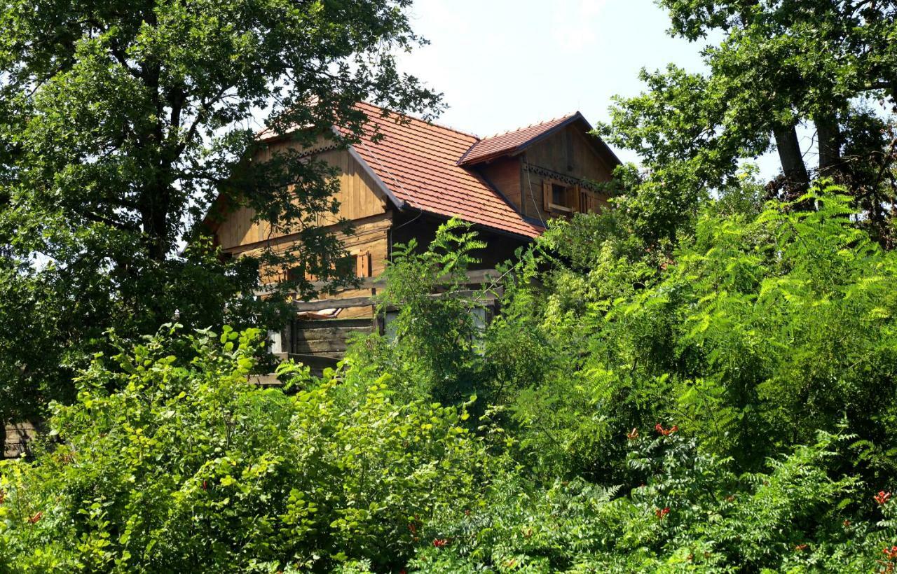 Kuca Suncani Brijeg Pokupsko Buitenkant foto
